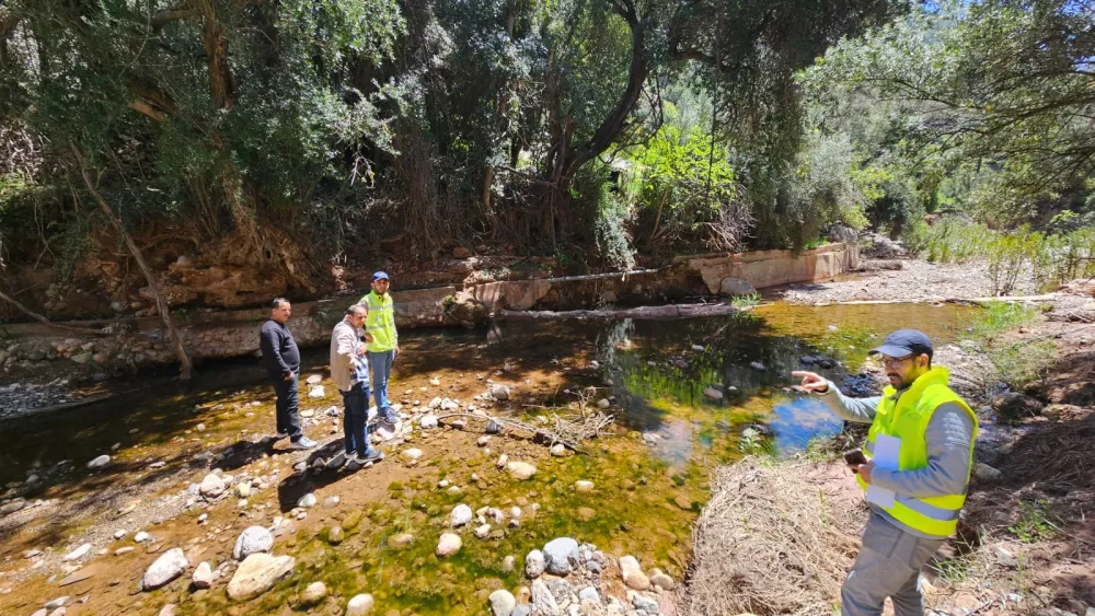 الصفحة الأساسية